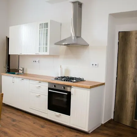 Apartman Slany 公寓 斯安尼