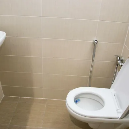 Apartman Slany 斯安尼