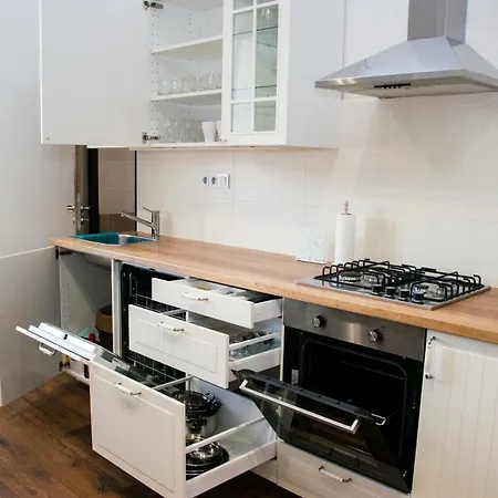 Apartman Slany 斯安尼