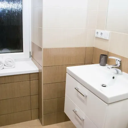 Apartman Slany 斯安尼